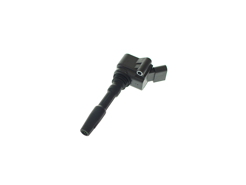 Eldor R1702C00200 Ignition Coil - Audi, Porsche, VW | 06H905110L ...