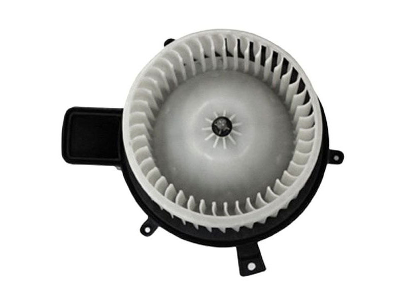 TYC 700216 Blower Assembly; Front - Chrysler, Dodge, Jeep | 68029719AB ...